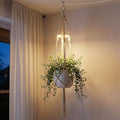 Hanging Plant Grow Lights for Indoor Plants with Timer, Wall Mounted Full Spectrum Pendant Growing Light with Macrame Plant Hanger, Ceiling LED Planta Luz for Potted Plants Home Decor