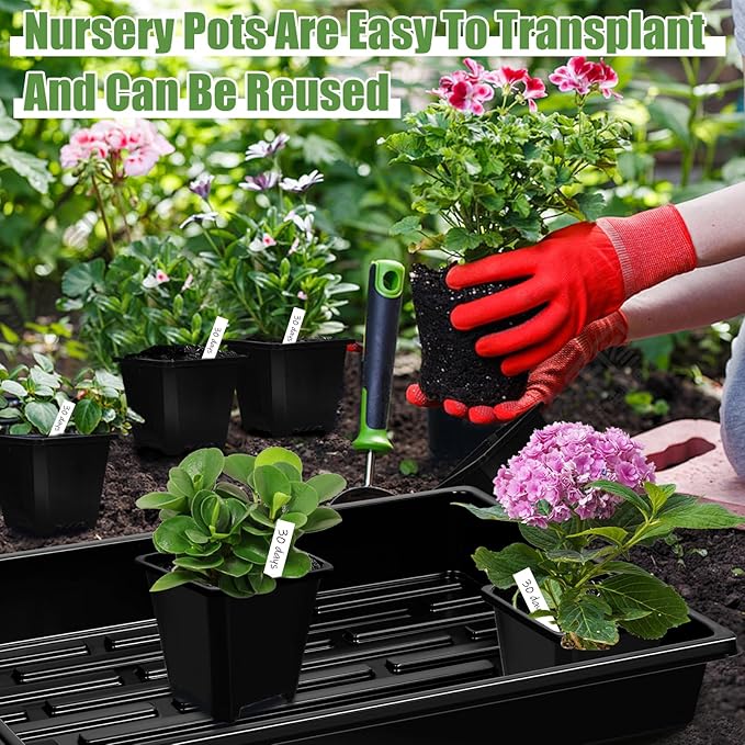 mwellewm 5 Pcs Seed Starter Tray, 3.5 Inch (9CM) 60 Pcs Nursery Pots Kit, Thickened Seed Starting Trays Square Seedling Pots for Plants Sturdy Microgreens Growing Trays Reusable Germination Tray