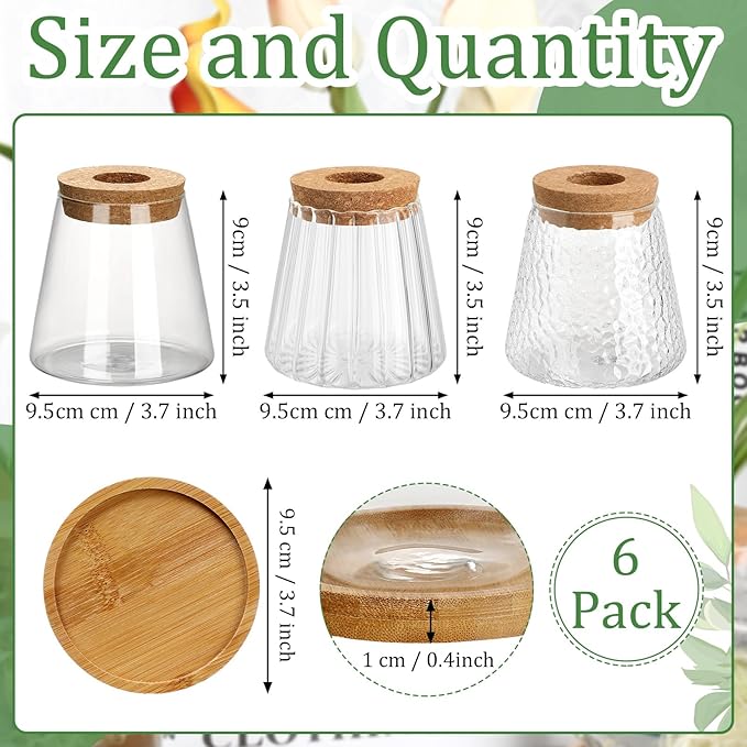 Beeveer 6 Pcs Plants Propagation Station Separated Desktop Plant Terrarium with Wood Lid and Stand, 3 Sizes Glass Planter Propagated Jars Propagation Vases for Indoor Home (Cute Style)