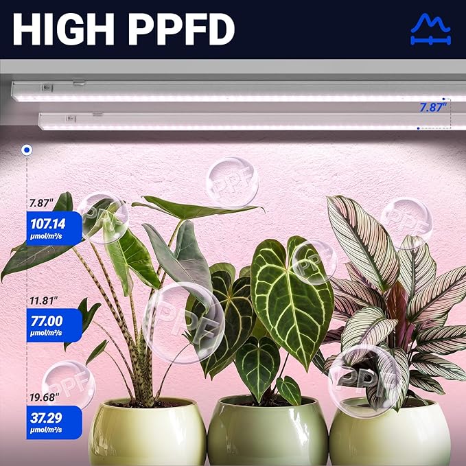 Barrina T5 Grow Lights for Indoor Plants, Full Spectrum LED Grow Light, 2FT 80W (8 x 10W), Plant Lamp for Indoor Growing, Seed Starting, Pinkish White, 8-Pack