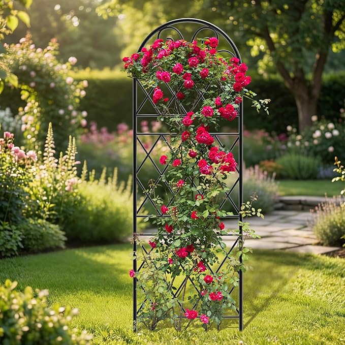 Garden Trellis for Climbing Plants, 6 Pack 75.6"Wx 64.6"H Rustproof Flower Trellis with Black Coating, Outdoor Climbing Rose Trellis Cucumbers Support for Courtyards Lawns (Diamond-shaped grid, 6 Pcs)