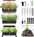Hydroponics Growing System Indoor Garden - DRYADES Herbs Garden Kit Indoor with LED Grow Light Grow Anything Plants Germination Kit (No Seeds) Harvest Vegetable Lettuce for Home Kitchen (66 Pods)