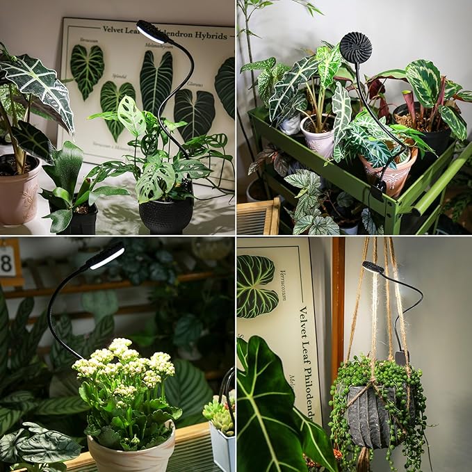 Grow Lights Indoor, Clip On Plant Lights for Indoor Growing, Full Spectrum LED Plant Grow Lamp, Auto Timing 4/8/12Hrs, 12W 4000K Pot Plant Growing Lamps with 4 Levels Dimmable Black, 2 Pack