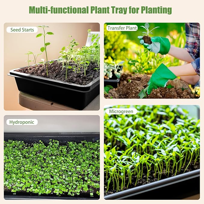 mwellewm 10 Pcs Seed Starter Tray Kit 1014 Seed Starting Trays Square Seedling Plant Tray Planting Sturdy Microgreens Growing Trays Reusable Germination Tray Indoors No Holes, 14x11x2.5In