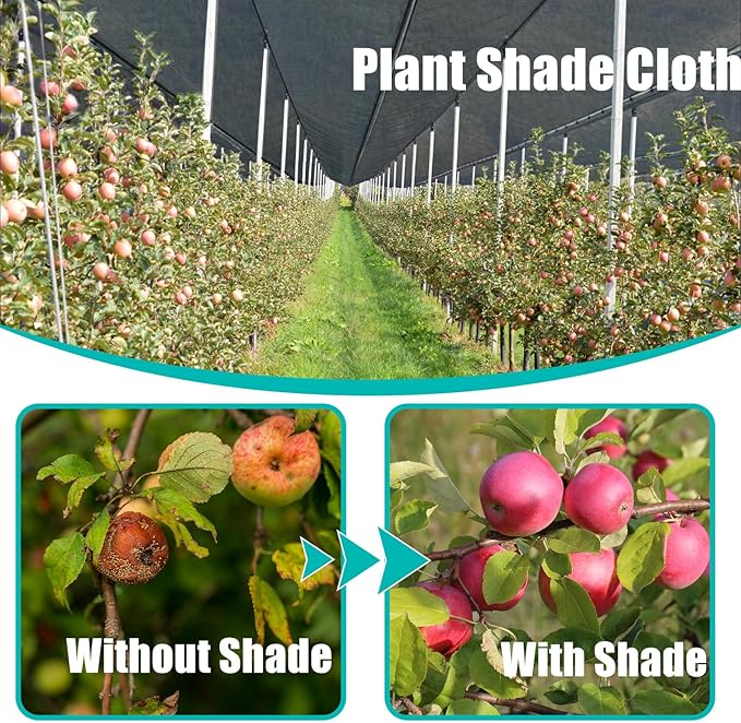 Cliselda 30% Black Shade Cloth for Garden, 10 x 50ft UV Resistant Mesh Tarp with Grommets, Durable Sun Shade Netting Sunblock Fabric Plants Cover for Greenhouse, Vegetables and Patio
