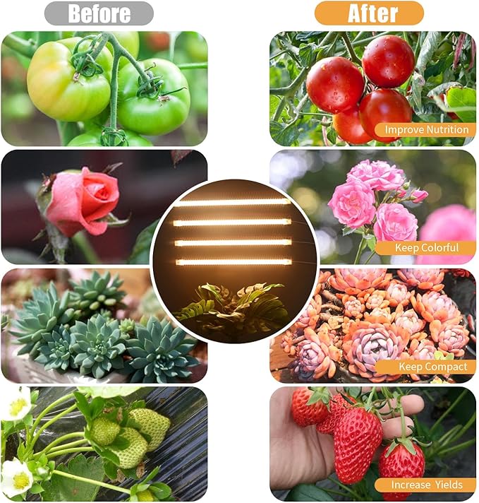 RWNTAO LED Plant Grow Lamp, 3500K Full Spectrum Growing Light Strips for Indoor Small Plants with 3/9/12H Timer & 10 Dimmable Levels, LED Growth Light for Green House Hydroponics Succulent 2 Pack