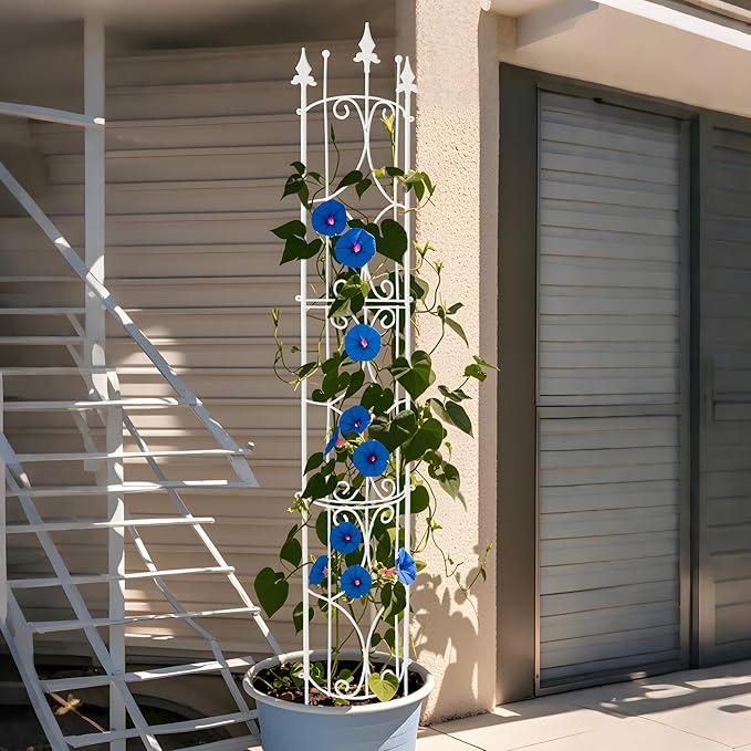Thealyn Garden Trellis 2 Pack 72'' H x 12'' W Metal Plant Trellis Indoor/Outdoor Metal Garden Trellis Plant Trellis for Potted Plants Climbing Houseplants Flowers