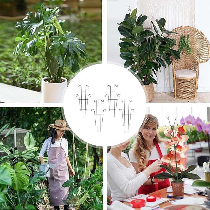 Plant Stand Indoor - Rust Proof Adjustable, Metal Plant Trellis, Durable Support Structure, Stable Space Saving Design | Pothos Ivy Fruit Vegetable for Pothos Ivy Fruit Vegetable