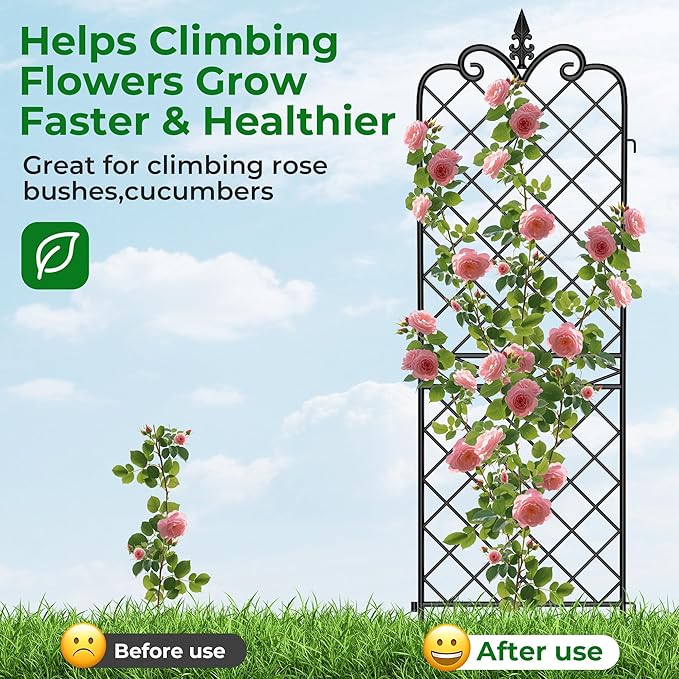 AMAGABELI GARDEN & HOME Garden Trellis 2 Pack 71”x20” Heavy Duty Rustproof Wall Trellis for Climbing Plants Outdoor Metal Decoration Large Trellis for Potted Plants Support Trellis Roses Black