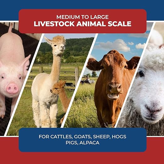 Livestock Scale Kit, Heavy-Duty Weigh Beam Scale System, Load Bars 10000lb Capacity, Portable Animal & Cattle Chute Scale Kit for Cows, Goats, Hogs & Sheep with Digital Indicator (24")