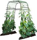 AlisisFores Garden Arch Plant Trellis for Climbing Plants Outdoor, Cucumber Trellis for Raised Bed, Grape Metal,Arbor Trellis Plant Support Flower Vegetables,Tomato Black,6.7FT Rust-Proof