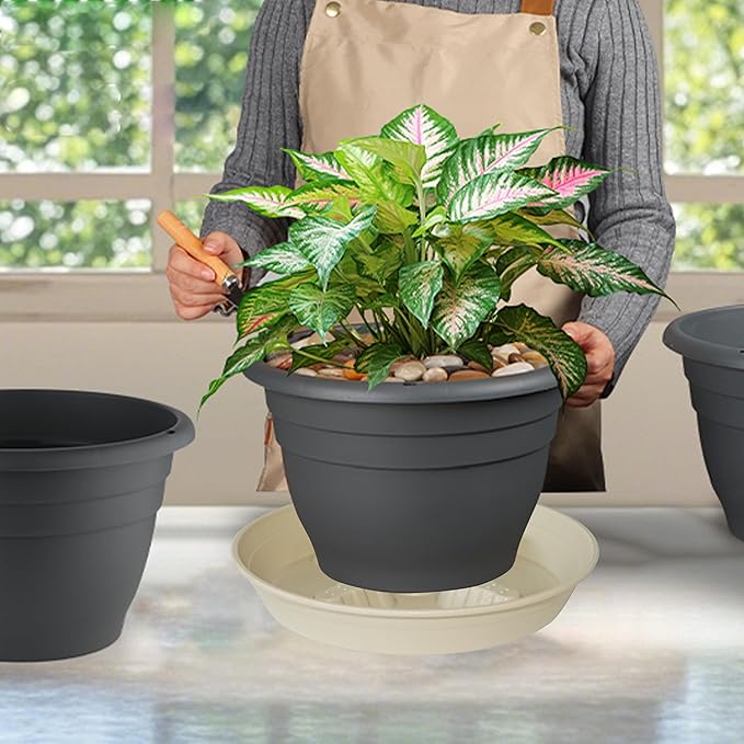 4 Pack Plant Saucer 10 inch, 8 12 14 17 inch, Plant Stand Plastic Plant Saucers for Indoors Outdoor, Heavy Duty Flower Plant Risers for Inside Pots, Pot Saucers for Plants, Grow Bags Saucers