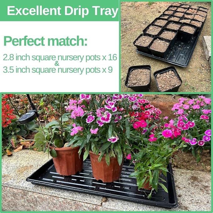 Shallow 1020 Nursery Flat Trays -10 Pack, 1.8" Height, Specialized for Holding 72-Cell Plug Seedling Trays, No Holes, Ideal for Seed Starting and Planting