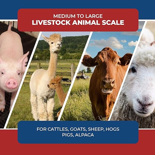Livestock Scale Kit, Heavy-Duty Weigh Beam Scale System, Load Bars 10000lb Capacity, Portable Animal & Cattle Chute Scale Kit for Cows, Goats, Hogs & Sheep with Digital Indicator (48")