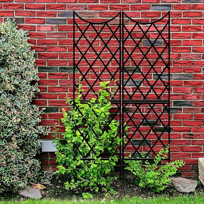 Newtay Giant Trellis for Climbing Plants, Rustproof Metal Vine Trellis with Black Coating Large Heavy Duty Plant Trellis for Outdoor Climbing Plants Vegetables Support (58'' X 36'',Stylish Style)