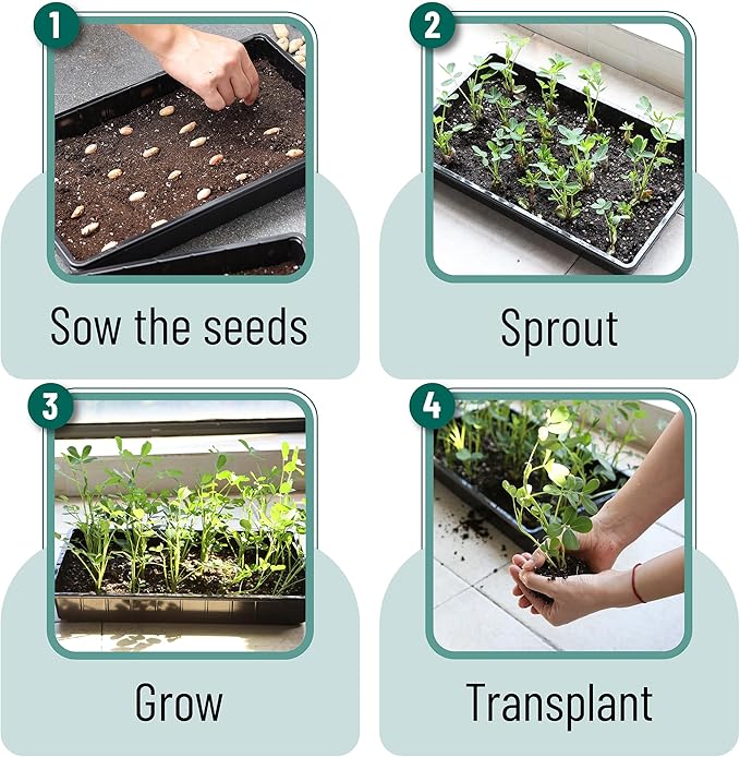 Mr. Pen- Seed Starter Trays, 5 Pack, 17"x10"x2.4", Durable Plastic Growing Trays, Stackable and Reusable Seedling Starter Kits for Indoor, Outdoor, Greenhouse Gardening, Planting, Hydroponic Systems