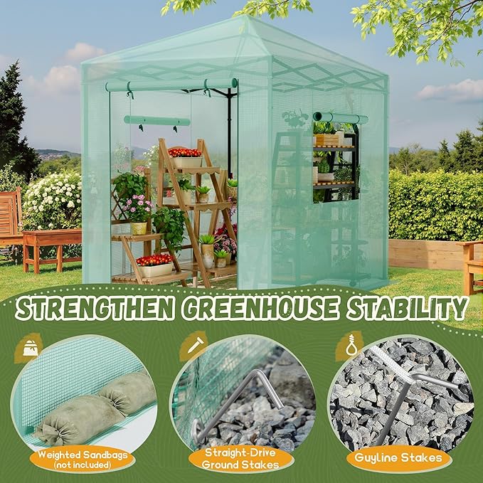 Devoko Walk-in Greenhouse, Instant Pop Up Green House for Outdoors with Zippered Door and 2 Roll-up Windows, PE Cover, Portable and Easy Assemble (Green, 8x6 Feet)