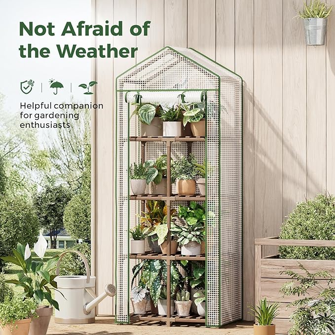 4 Tier Bamworld Mini Greenhouse for Outdoor Indoor 22 x 16 x 66-Inch Portable Greenhouses with Reusable PE Cover Small Greenhouse Kit for Outside Heavy Duty Patio Wooden Greenhouse Tent