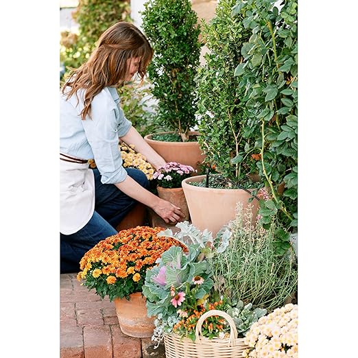 Orbit 56309 Planter Drip Irrigation Kit - 30ft Complete Watering System with Adjustable Micro-Bubblers for Container Gardens