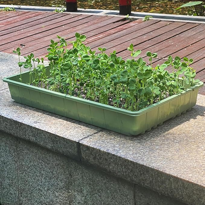 Mr. Pen- Seed Starter Trays, 10 Pack, 17"x10"x2.4", Durable Plastic Growing Trays, Stackable and Reusable Seedling Starter Kits for Indoor, Outdoor, Greenhouse Gardening, Planting, Hydroponic Systems