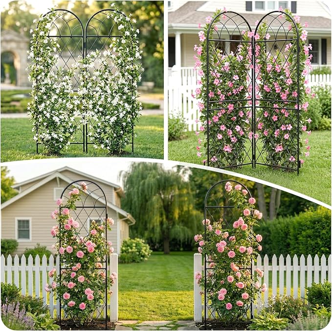 2 Pack 70.8" X 19.7" Metal Garden Trellis for Climbing Plants Outdoor - Rustproof Heavy Duty Arched Trellis - Decorative Rose Plant Support Trellis for Roses,Vines,Vegetables,Flowers,Black