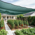 SUNNY GUARD 65-75% Sun Shade Cloth, 20 x 30 FT Green HDPE Mesh – Breathable Garden Shade Cover for Plants, Vegetables, Greenhouse, Patio, Chicken Coop & Dog Kennel