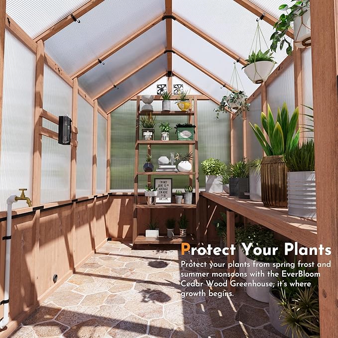 Modern Shade EverBloom 6.5'x10' Wooden Greenhouse, 8' Extra-Tall Cedar Wood Greenhouse with Built-in Outdoor Faucet Kit, Heavy Duty Greenhouse with Built-in Shelving, Power Strip & Ventilation System