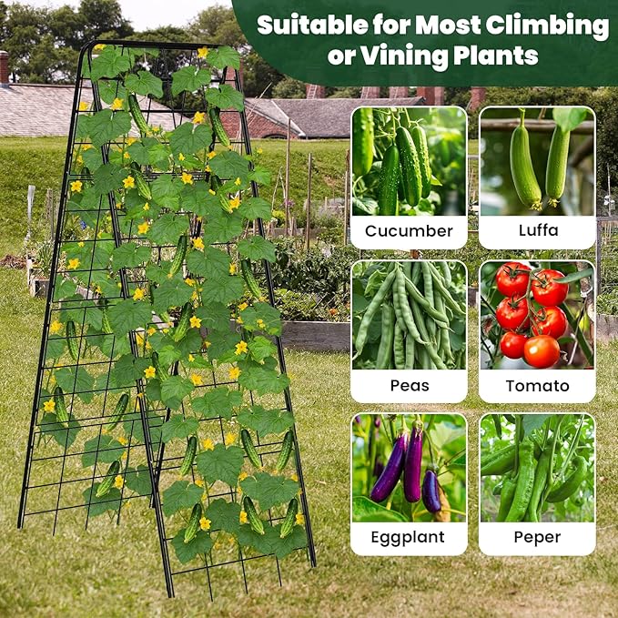 A-Frame Cucumber Trellis for Raised Bed, 50"x 16" Adjustable Heavy Duty Metal Garden Trellis for Climbing Plants Outdoor, Plant Support for Tomatoes Pea Bean Grape Vining Vegetables (2 Pack)