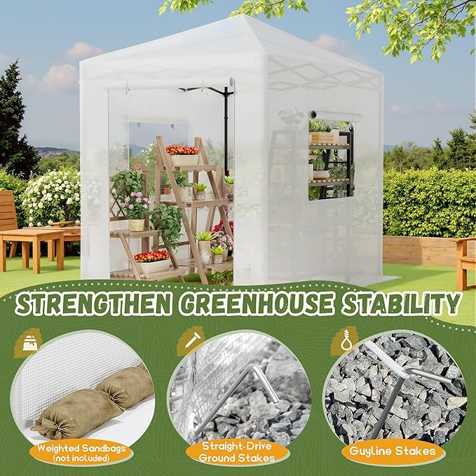 Devoko 8x6 FT Walk-in Greenhouse, Instant Pop Up Green House for Outdoors with PE Cover, Zippered Door and 2 Roll-up Windows, Portable and Easy Assemble (White)