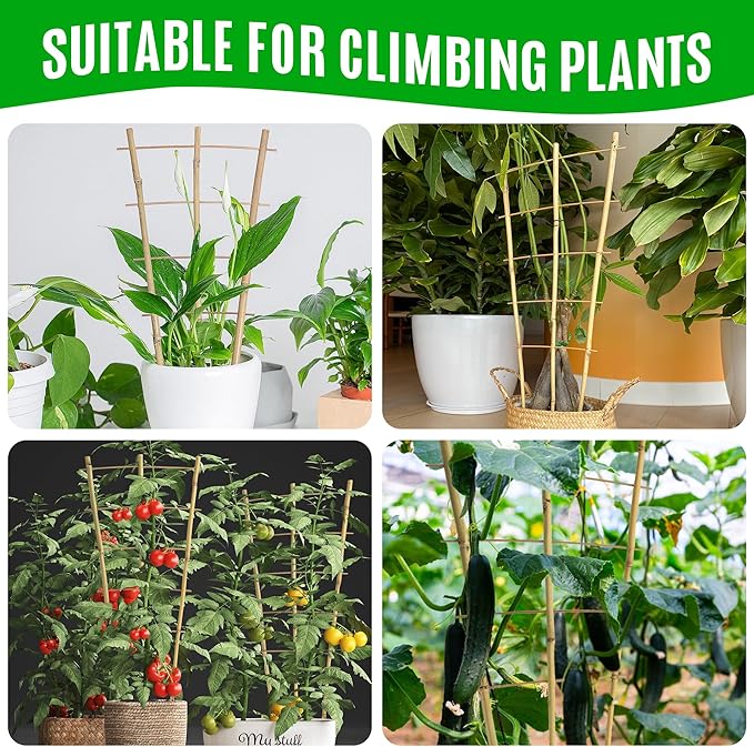 SWANGSA 6 Pack 3Ft Bamboo Trellis for Climbing Plants,35.5 Inch Fan-Shaped Bamboo Plant Trellis with 100pcs Twist Ties for Outdoor and Indoor Potted Plants Garden Stakes