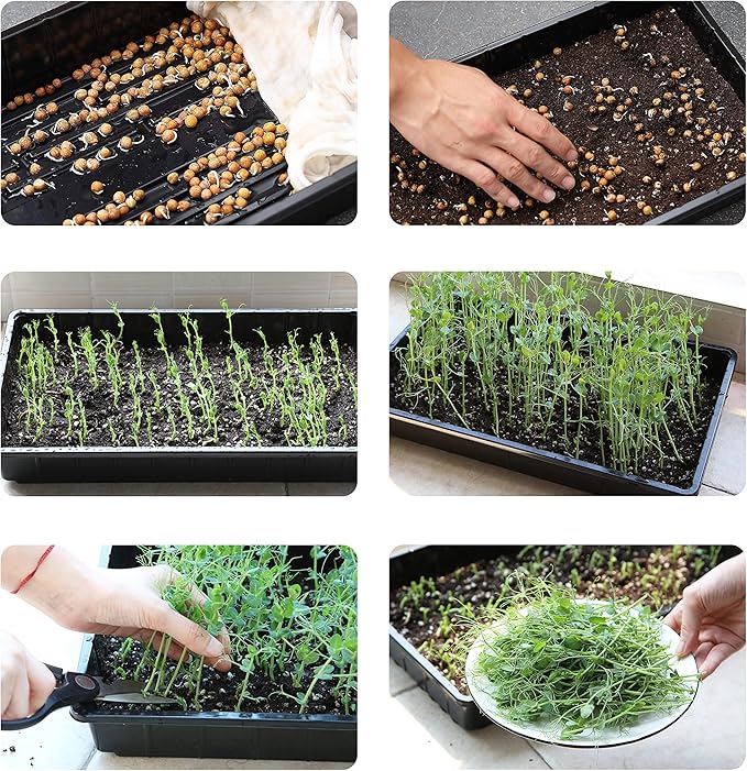 Mr. Pen- Seed Starter Trays, 5 Pack, 17"x10"x2.4", Durable Plastic Growing Trays, Stackable and Reusable Seedling Starter Kits for Indoor, Outdoor, Greenhouse Gardening, Planting, Hydroponic Systems