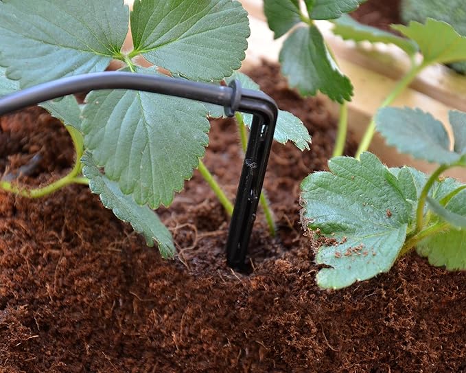 Palram - Canopia Greenhouse Accessories Bundle Kit with Heavy Duty Aluminum Shelves, Drip Irrigation Lines, Automatic Vent Opener to Control Temperature and Plant Hangers for Vines and Hanging Baskets