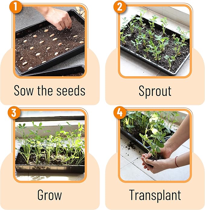 Mr. Pen- Seed Starter Trays, 5 Pack, 17"x10"x2.4", Durable Plastic Growing Trays, Stackable and Reusable Seedling Starter Kits for Indoor, Outdoor, Greenhouse Gardening, Planting, Hydroponic Systems