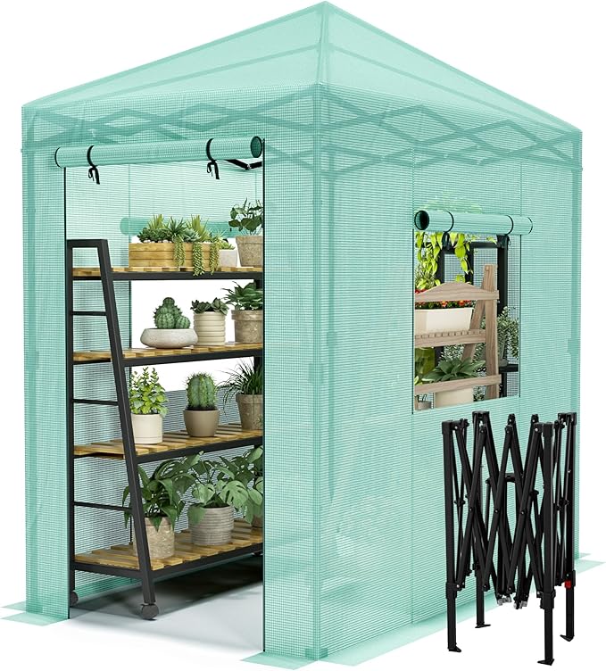Devoko Walk-in Greenhouse, Instant Pop Up Green House for Outdoors with Zippered Door and 2 Roll-up Windows, PE Cover, Portable and Easy Assemble (Green, 6x4 Feet)