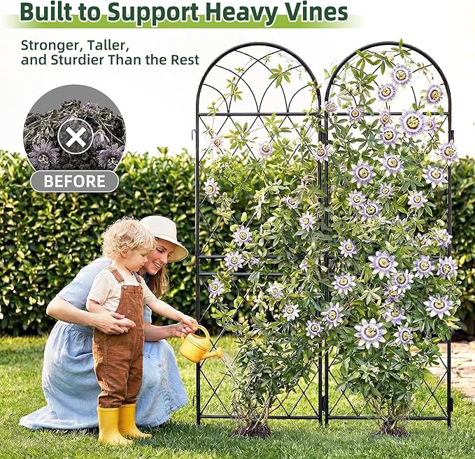 2 Pack 70.8" X 19.7" Metal Garden Trellis for Climbing Plants Outdoor - Rustproof Heavy Duty Arched Trellis - Decorative Rose Plant Support Trellis for Roses,Vines,Vegetables,Flowers,Black