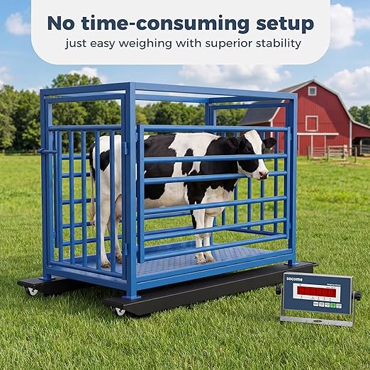47.3"x5.5" Multi-Purpose Livestock Scale with Digital Indicator, Weigh Beam System Industrial Floor Scale, Weigh Bars Chute Scale, Zoo Specific Animal Scale for Cattle, Sheep,10000 lb x 1 lb