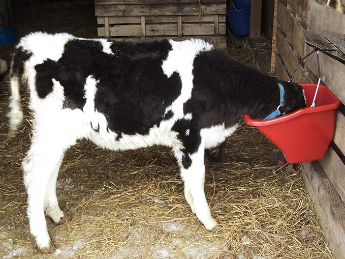 Little Giant® Plastic Better Bucket | Horse Feed Pail | Ergonomically Designed | Flat Back Bucket | Made in USA | 10 Quarts | Red