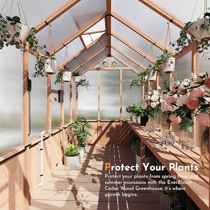 Modern Shade EverBloom 6.5'x12' Wooden Greenhouse, 8' Extra-Tall Cedar Wood Greenhouse with Built-in Outdoor Faucet Kit, Heavy Duty Greenhouse with Built-in Shelving, Power Strip & Ventilation System