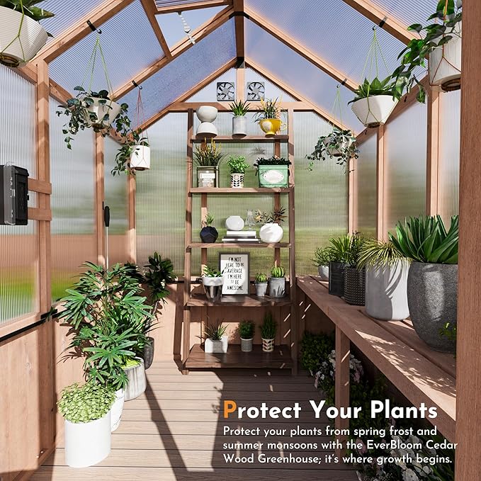 Modern Shade EverBloom 6.5'x8' Wooden Greenhouse, 8' Extra-Tall Cedar Wood Greenhouse with Built-in Outdoor Faucet Kit, Heavy Duty Greenhouse with Built-in Shelving, Power Strip & Ventilation System