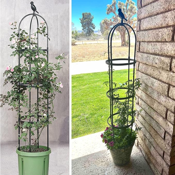 Garden Trellis for Climbing Plants, Rustproof Metal Pipe with Heavy Duty 6ft, Garden Outdoor Indoor Potted Plant Support（Black）