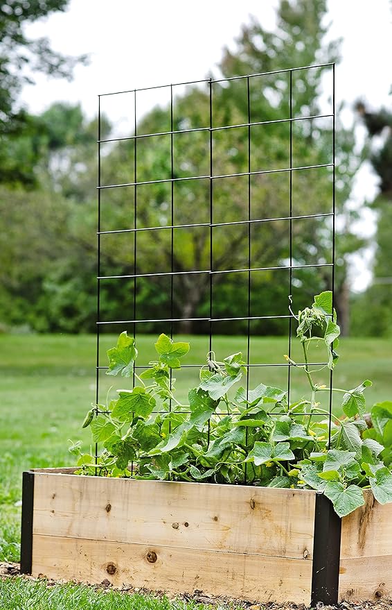 Gardener's Supply Company Two Panel Folding Trellis | Sturdy & Tall Metal Frame for Outdoor Garden Plant Support Climbing Flowers and Vegetables | 35-1/2"W x 58" H