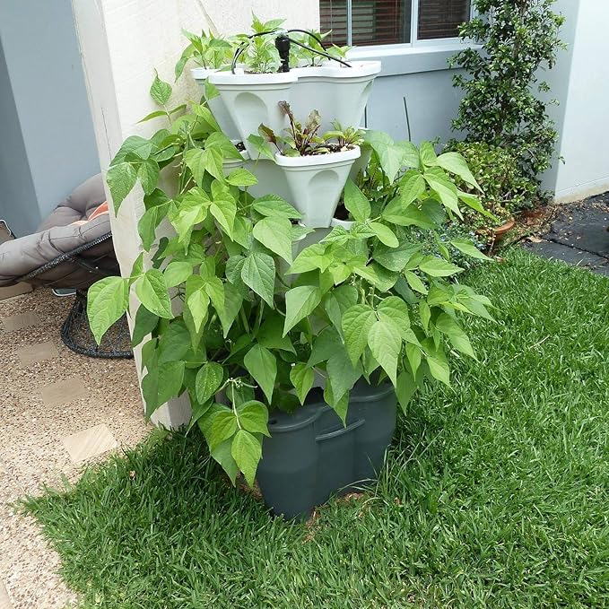 Mr. Stacky Smart Farm - Automatic Self Watering Garden - Grow Fresh Healthy Food Virtually Anywhere Year Round - Soil or Hydroponic Vertical Tower Gardening System (Standard Kit, Stone)