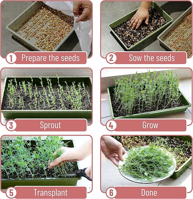 Mr. Pen- Seed Starter Trays, 10 Pack, 17"x10"x2.4", Durable Plastic Growing Trays, Stackable and Reusable Seedling Starter Kits for Indoor, Outdoor, Greenhouse Gardening, Planting, Hydroponic Systems
